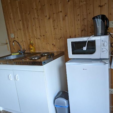 Au Petit Chalet D'Illiers Combray - Salle D'Eau Uniquement Экстерьер фото