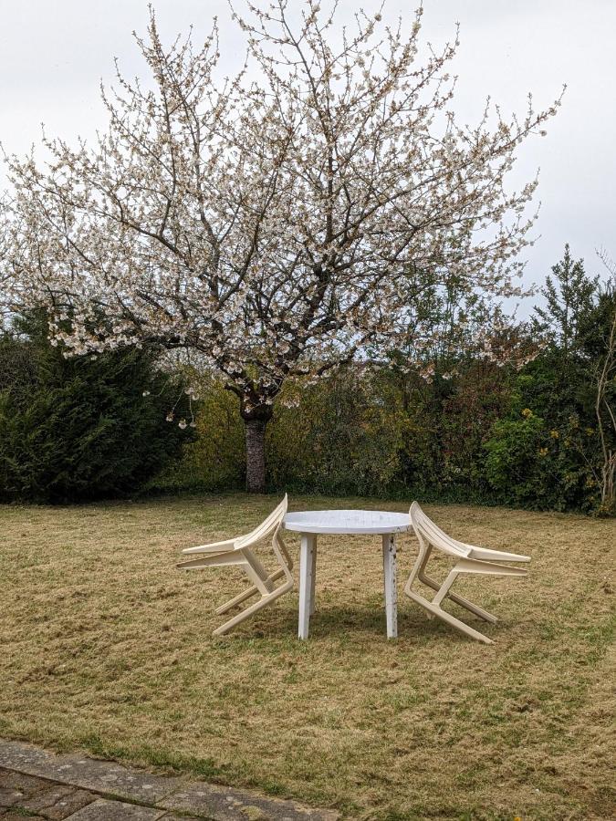 Au Petit Chalet D'Illiers Combray - Salle D'Eau Uniquement Экстерьер фото
